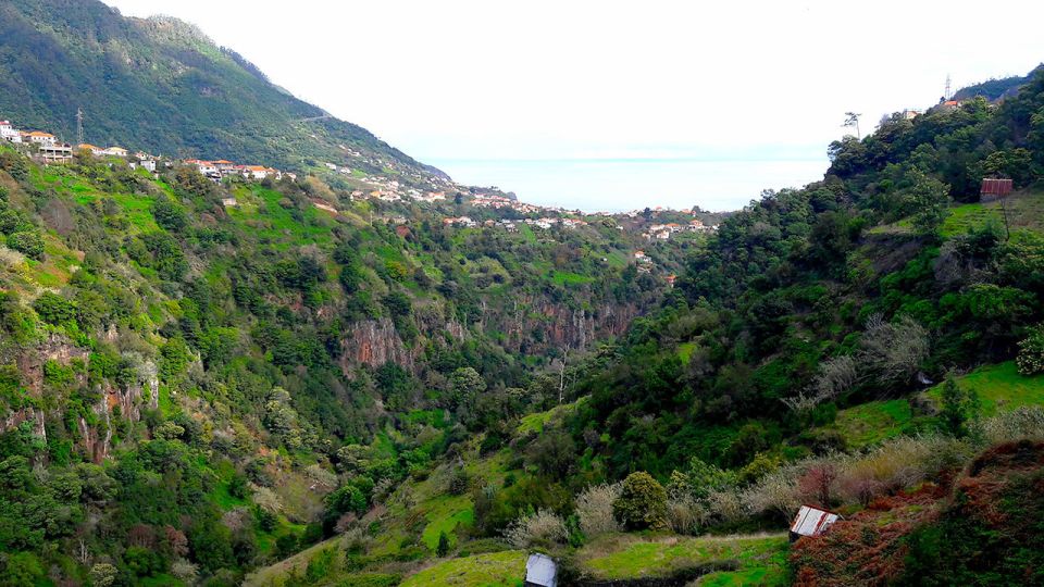 Referta / Castelejo - Levada Walk - Guides, pickup, and timing: how to avoid day-of headaches