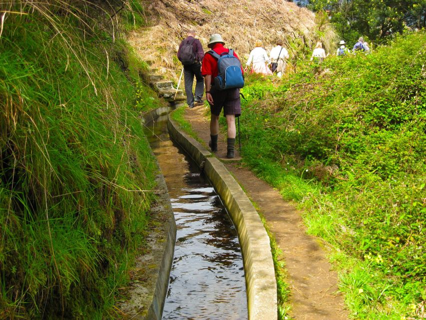 Referta / Castelejo - Levada Walk - Who should book this levada walk?