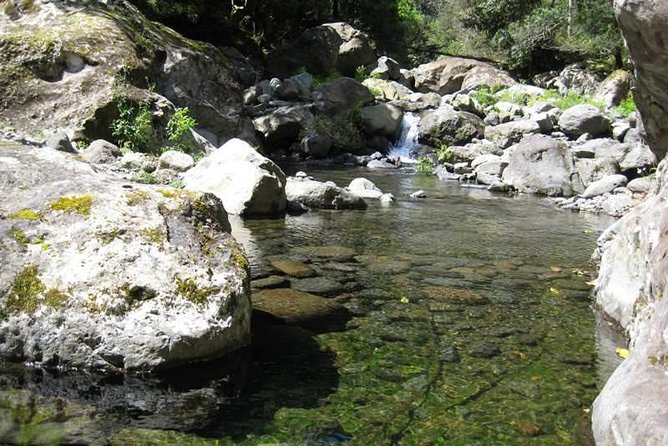 Referta Castelejo Levada Walk from Funchal - Why this levada walk feels like a smart half-day from Funchal