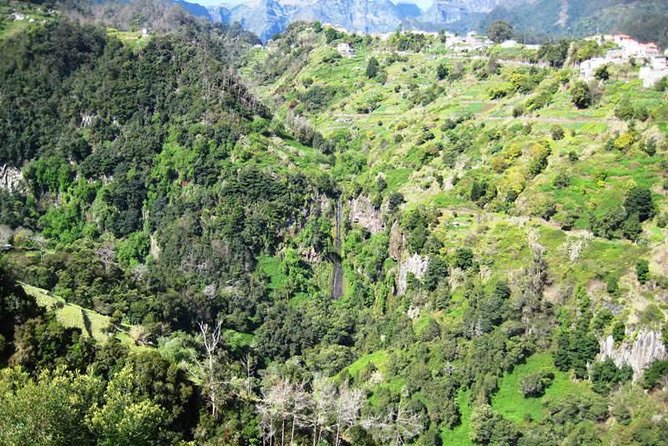 Referta Castelejo Levada Walk from Funchal - The 8:30am pickup and small-group ride to Porto da Cruz
