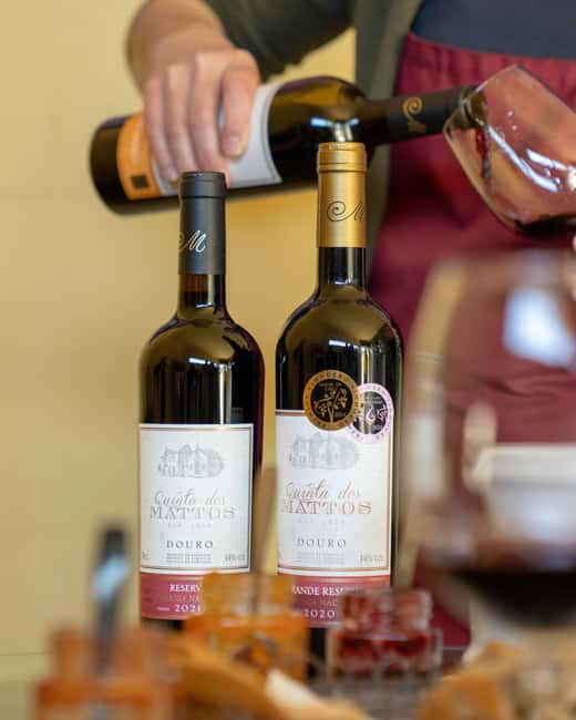 Régua: Wine tasting at a Quinta, traditional lunch, cruise, and train ride - Key things to know before you go