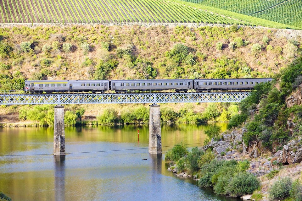 Régua: Wine tasting at a Quinta, traditional lunch, cruise, and train ride - The train ride back to Régua: the best kind of wind-down