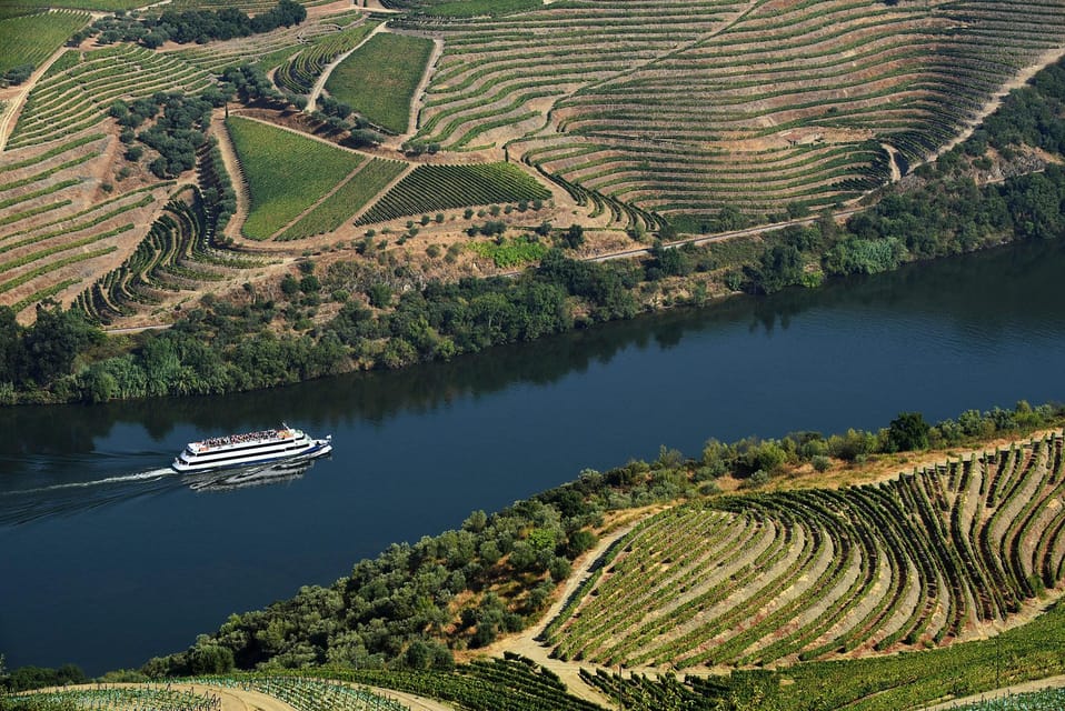 Régua: Wine tasting at a Quinta, traditional lunch, cruise, and train ride - Who this tour is best for (and who should skip it)