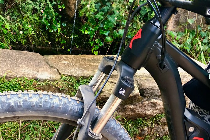 Relaxed E-bike in the backroads of Cascais and Sintra - Quinta do Piso and the “center of countryside” feeling