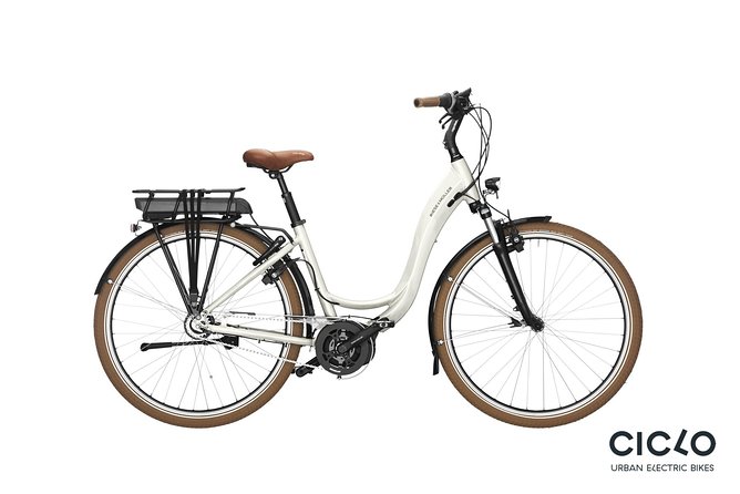 Rent an Electric Bike with Bosch motor - What the 8-rider limit means in real life
