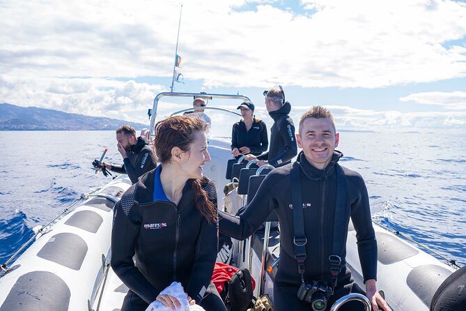 Responsible Whales and/or Dolphins Watching Tour - Price and value at about $59 for two hours