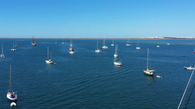 Ria Formosa: Armona and Culatra Islands 3-Hour Boat Tour - Entering the Ria Formosa: where tides write the schedule