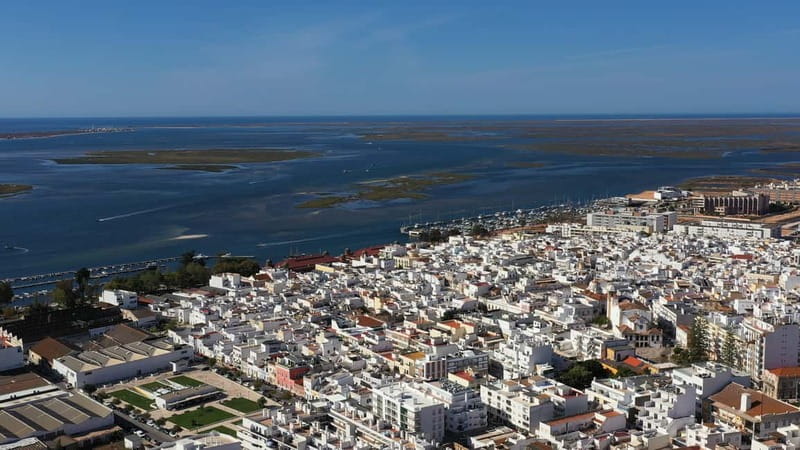 Ria Formosa: Armona and Culatra Islands 3-Hour Boat Tour - Captain chat that makes the scenery make sense