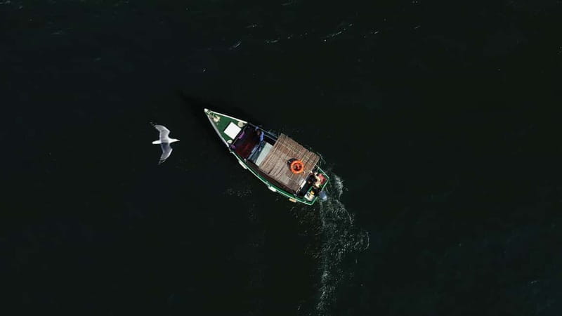 Ria Formosa: Armona and Culatra Islands 3-Hour Boat Tour - The Praia Deserta swim and the low-tide photography window