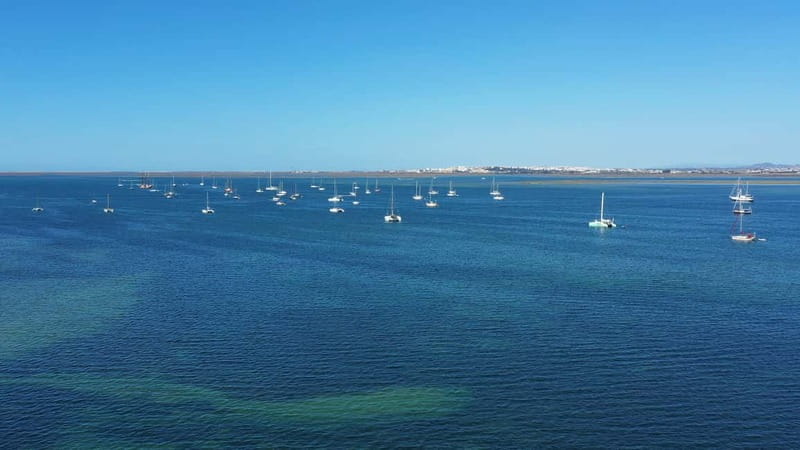 Ria Formosa: Armona and Culatra Islands 3-Hour Boat Tour - Armona Island: quieter mood, more photos, and a different kind of break