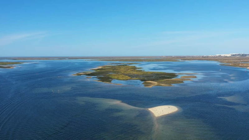 Ria Formosa: Armona and Culatra Islands 3-Hour Boat Tour - Rain, wind, and changing plans: how to stay comfortable