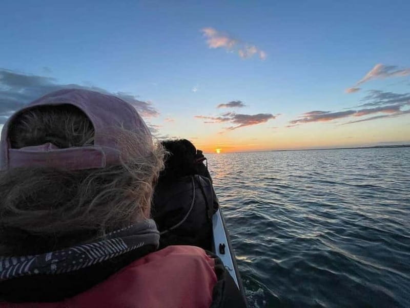 Ria Formosa: Armona and Culatra Islands 3-Hour Boat Tour - Shared vs private: who should choose what