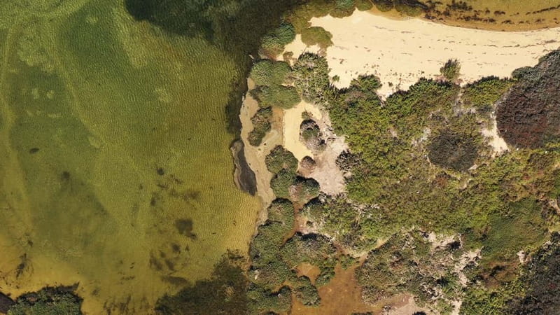Ria Formosa: Armona and Culatra Islands 3-Hour Boat Tour - Olhão and the 3-hour time budget (why it works)