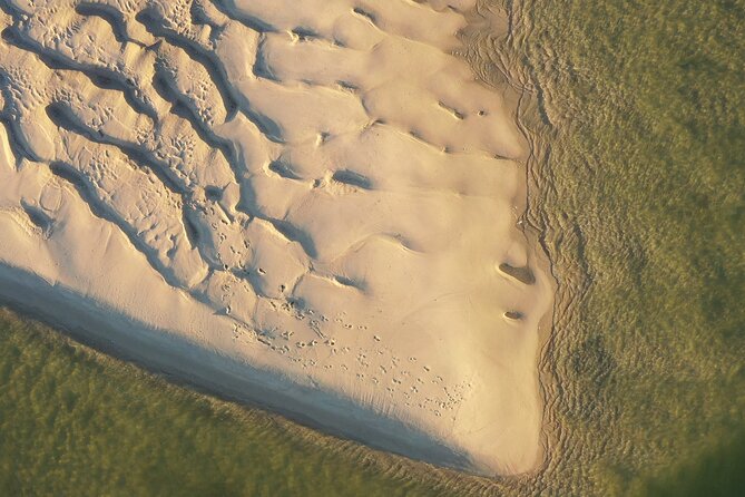 Ria Formosa & Ilhas: Private Tour for Two or in Group - Culatra Island: calm exploring with lagoon scenery