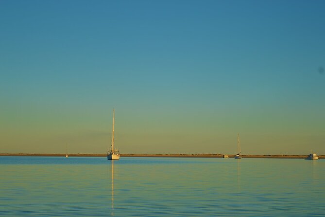 Ria Formosa & Ilhas: Sunset Boat Trip - Ivan’s guiding style: maps, books, and jokes that actually help you see