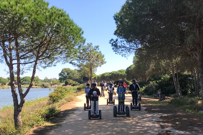 Ria Formosa Natural Park Birdwatching Segway Tour from Faro - Segway birdwatching at Ria Formosa: what 1.5 hours is really like
