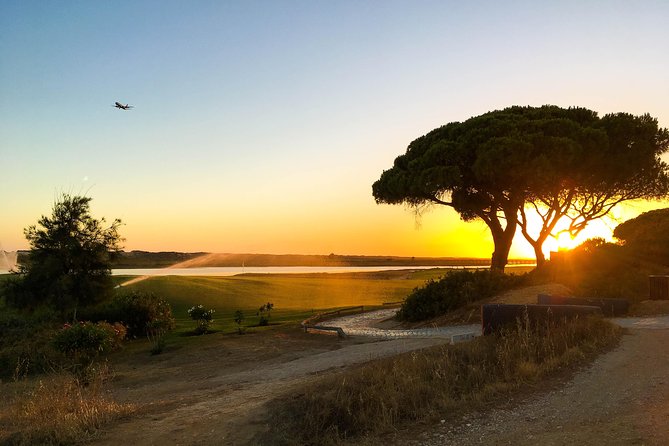 Ria Formosa Natural Park Birdwatching Segway Tour from Faro - Ria Formosa marshes and tidal flats: the bird habitat you’re meant to feel