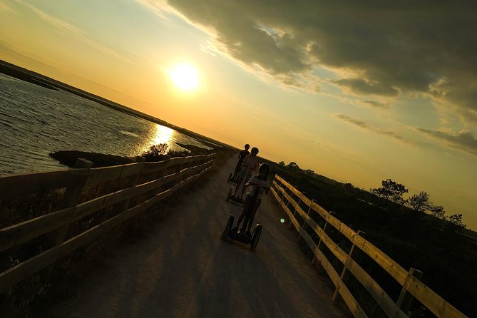 Ria Formosa Natural Park Birdwatching Segway Tour from Faro - Who should book this Segway birding tour?