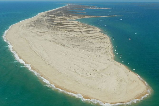 Ria Formosa: Private Boat Rental (from 2 to 8 hours) - Price and value: what $265.49 buys for up to 11