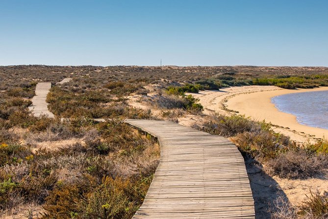 Ria Formosa: Private Boat Rental (from 2 to 8 hours) - Should you book this private Ria Formosa boat rental?