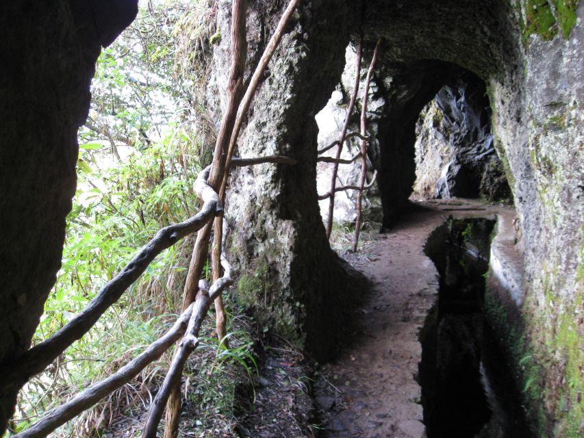 Ribeiro Frio / Portela - Levada Walk - Key highlights you’ll actually feel on this walk