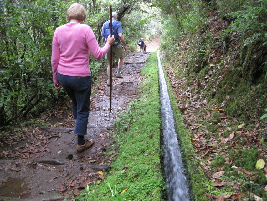 Ribeiro Frio / Portela - Levada Walk - Why Ribeiro Frio / Portela is Madeira’s classic levada route