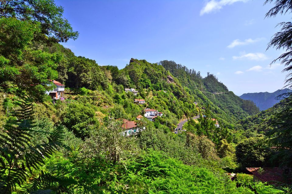 Ribeiro Frio / Portela - Levada Walk - The trout pond and levada water: the experience starts with movement