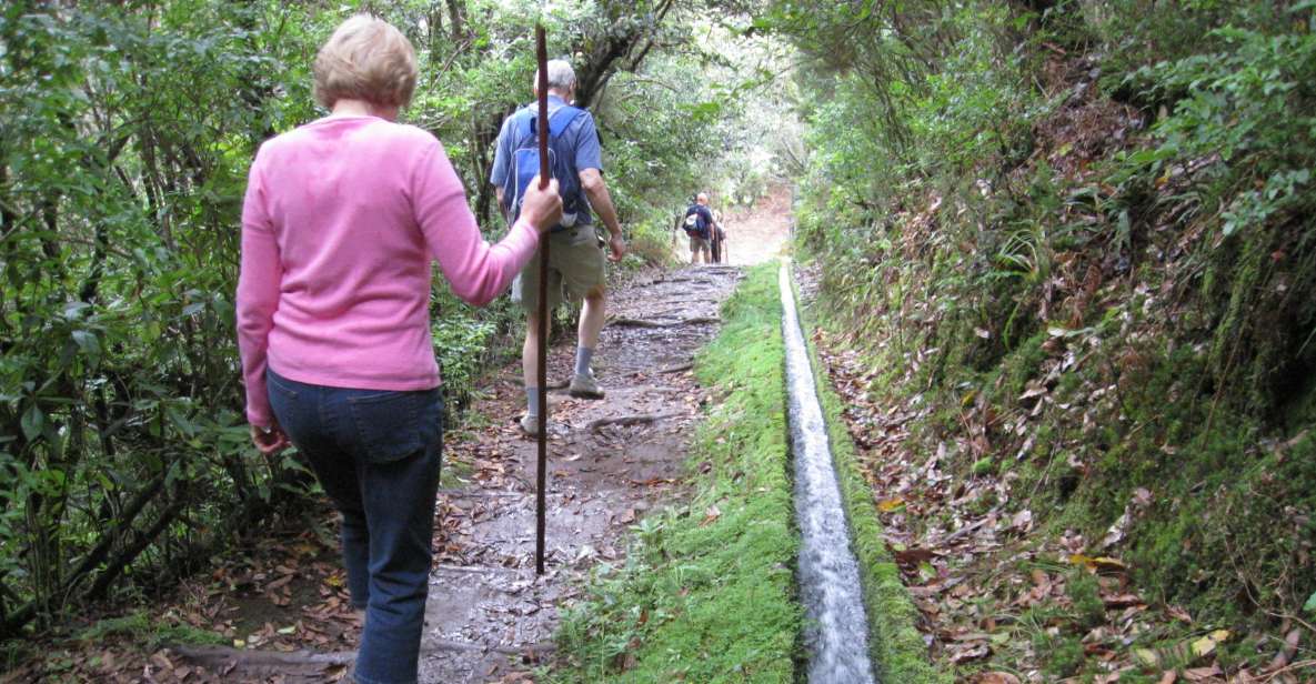 Ribeiro Frio / Portela - Levada Walk - Lamaceiros payoff: Porto da Cruz and Eagle Rock from far below
