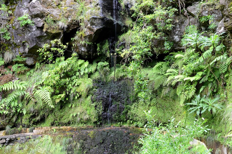 Ribeiro Frio / Portela - Levada Walk - Lunch is on you: plan food and water like a pro