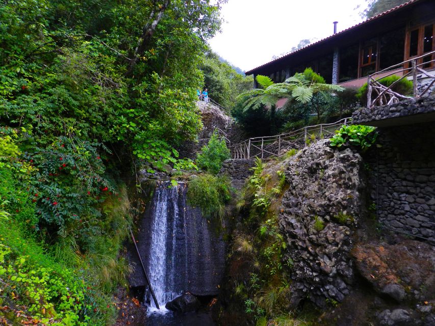 Ribeiro Frio / Portela - Levada Walk - Price and value: what $50 buys you on this Madeira day