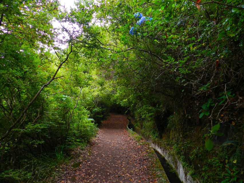 Ribeiro Frio / Portela - Levada Walk - Timing and pickup: plan your day around the start-to-finish rhythm