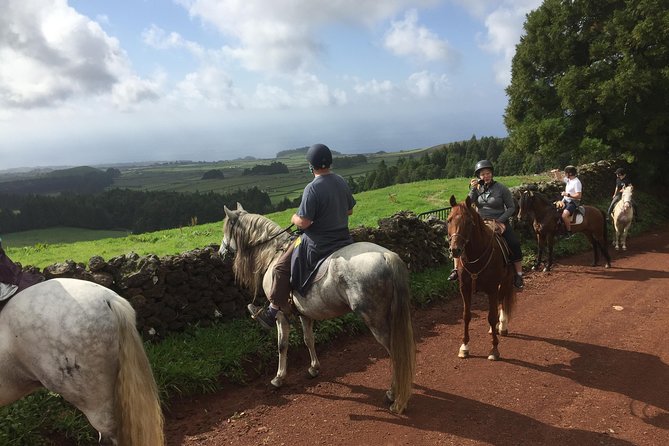 ride a volcano - go to the gardens in the woods - The climb: reaching a 467m viewpoint with big south-coast views