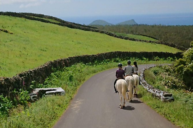 ride a volcano - go to the gardens in the woods - Brava zone: a change of scenery and energy