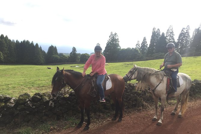 ride a volcano - go to the gardens in the woods - Guides who keep the ride smooth (and sometimes take pics)