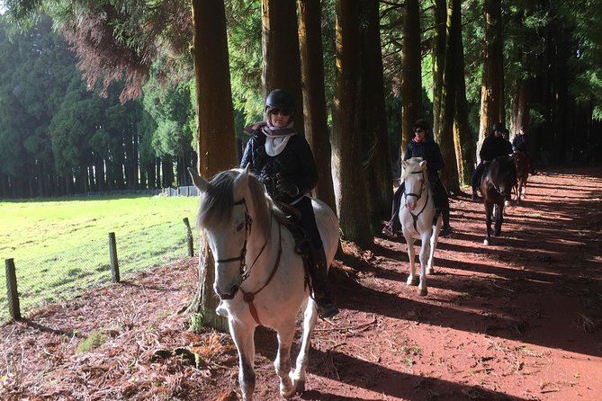 ride a volcano - go to the gardens in the woods - Price and value: what you’re paying for at $179.74
