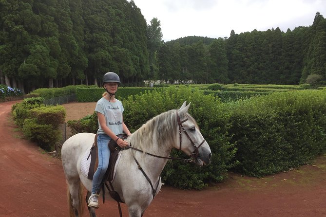 ride a volcano - go to the gardens in the woods - Forest zone riding: calm trails and that woods-garden feeling