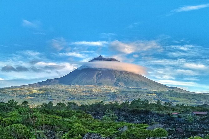 Route DA Pico Island - Lagoa do Capitão: A Calm Break With Big Tree Energy