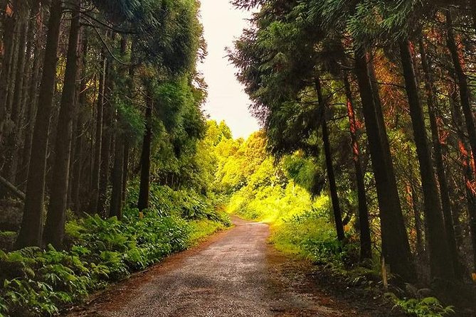 Route DA Pico Island - Small-Group Pace: Why the Day Feels More Like Pico Than a Bus Route