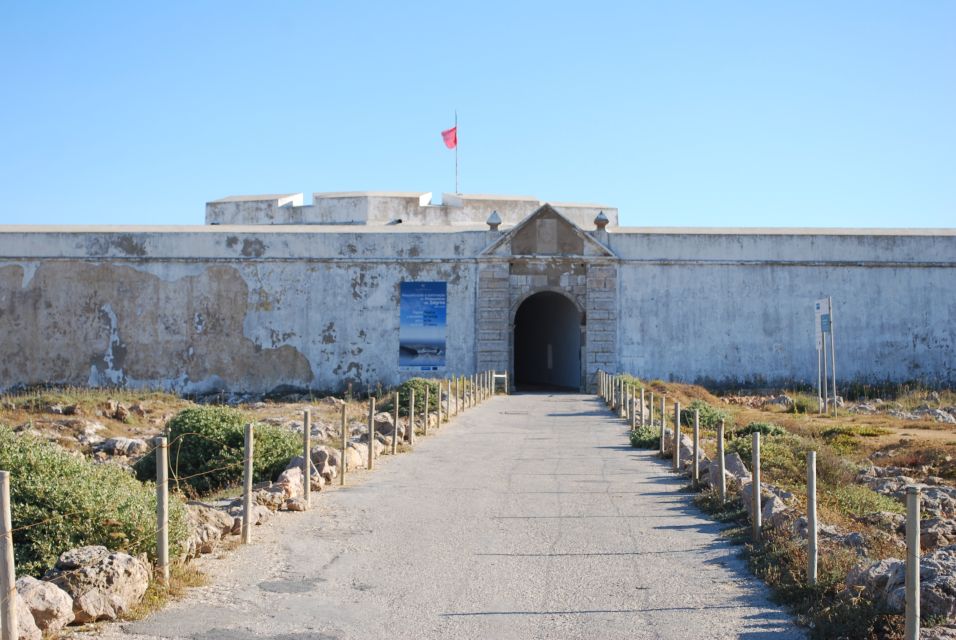 Sagres & Cape St. Vincent Half-Day Tour from Lagos - Who this tour suits best (and who should skip it)