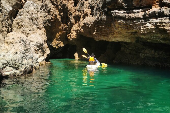 Sagres: Praia Da Ingrina Caves Guided Kayaking Tour - What You’ll See: Purple Caves, Sea Life, and the Small Details