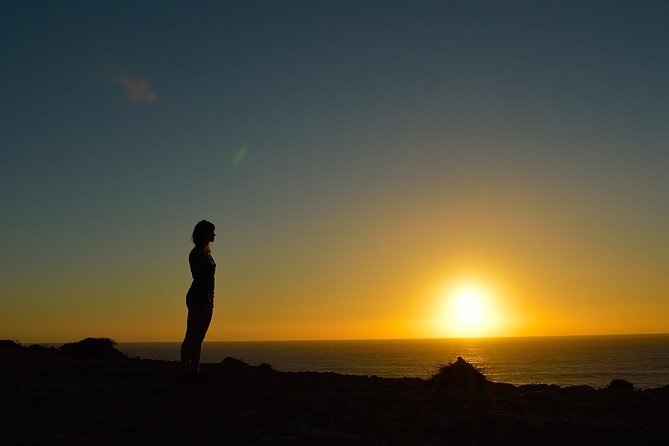 Sagres Sunset Small Group Tour from Lagos - Sagres Fortress from the outside: what you’ll notice and what you won’t