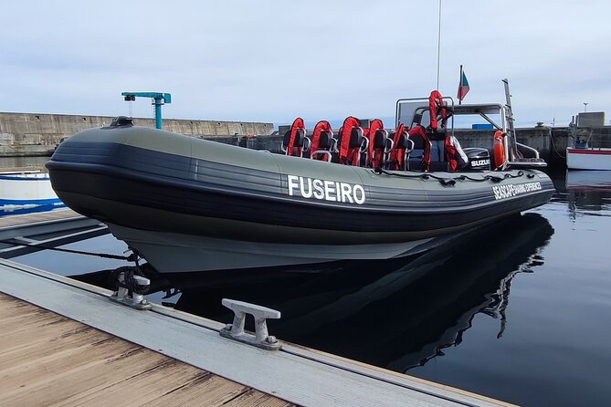 San Miguel: Boat Tour – Volcanic Wonders, Caves & History - Ribeira Grande from the water: sea life spotting with a view
