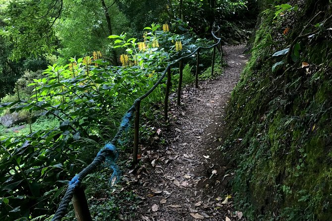 Sanguinho Hike from Ponta Delgada - Why This Sanguinho Hike Feels Like a Reset in São Miguel