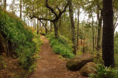 SANTANA Combo Expedition (Jeep & Levada Walk) - Shared Tour - Price and What You Actually Get for $78.10