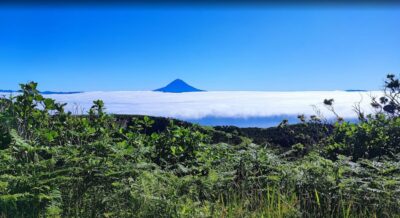 São Jorge: Island, Forest Reserve & Fajãs Guided Tour - Getting picked up in Velas, Calheta, or São Jorge (and why small matters)