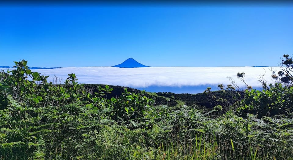 São Jorge: Island, Forest Reserve & Fajãs Guided Tour - Getting picked up in Velas, Calheta, or São Jorge (and why small matters)