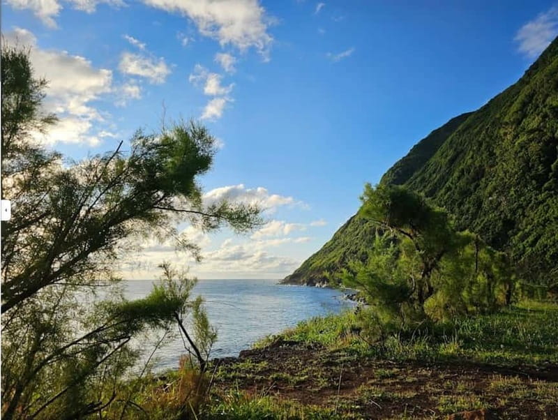 São Jorge Island Panoramic Adventure – 4 Hour Tour - Why a 4-hour panoramic tour is the smartest “first day” on São Jorge