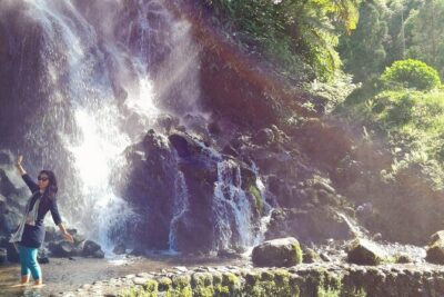 São Miguel 2-Day Tour: East & West Highlights Adventure - Price and Logistics: What You’re Paying For at $137.87
