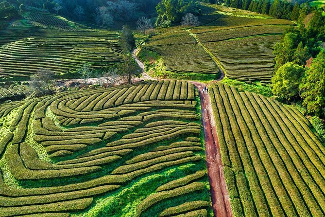 São Miguel 2-Day Tour: Furnas, Sete Cidades, Fogo & Nordeste - Price and value: what $204.81 buys you in real terms