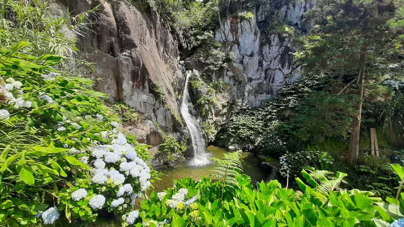 São Miguel Azores: Hike and Snorkeling with a local - What this 4-hour hike-and-snorkel actually feels like